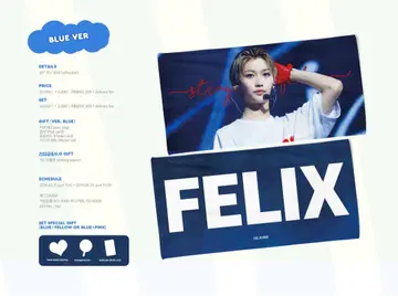 Stray Kids felix 슬로건