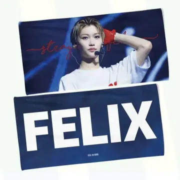 Stray Kids felix 슬로건