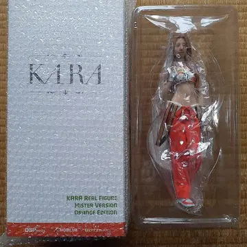 1/6 KARA 미스터 피규어 구하라
