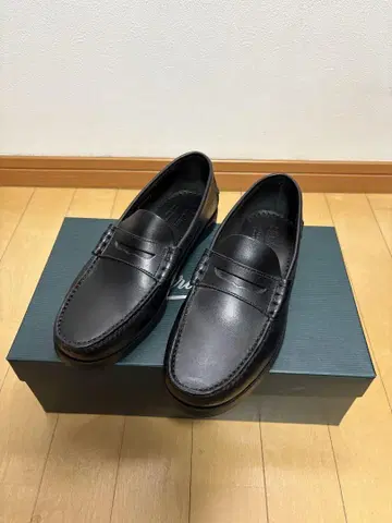 코라우스 / 노아