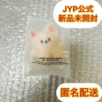 SKZOO KEYRING MICRO 포크시니 아이엔