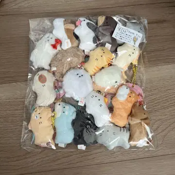 둥근 눈의 개와 고양이 쁘띠 마스코트 BC 전 18종 컴플리트