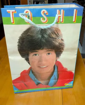 TOSHI 타하라 토시히코 쇼핑백 종이 봉투 글리코 쟈니즈