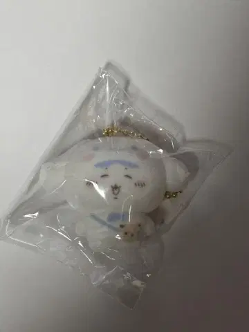 산리오 치이카와 (먼작귀) 플로키 시나몬 시나모롤 하치와레