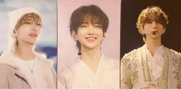 SEVENTEEN 조슈아 패널