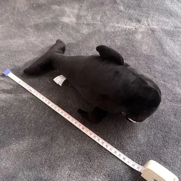 MARINE WORLD 코비레곤도 봉제 인형 약 30cm