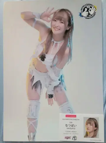 나츠포이 STARDOM 포트레이트 명함 세트