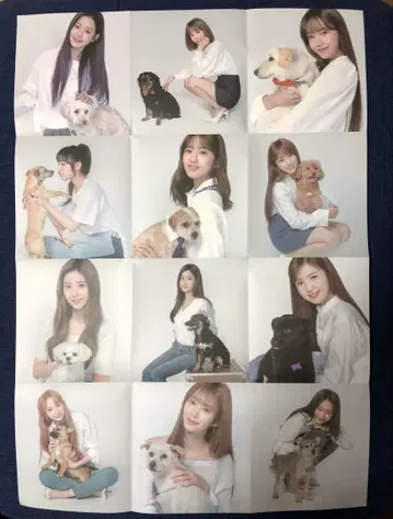 IZ*ONE 아이즈원 Gmarket 포스터