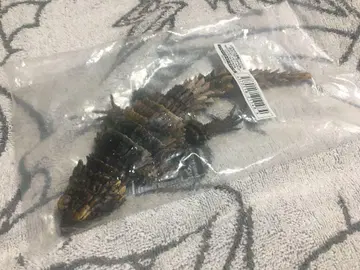 생물대도감 셀렉트 에디션 아르마딜로 도마뱀 (모자이크 개정)