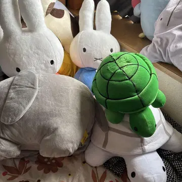 미피와 거북이 봉제 인형 세트