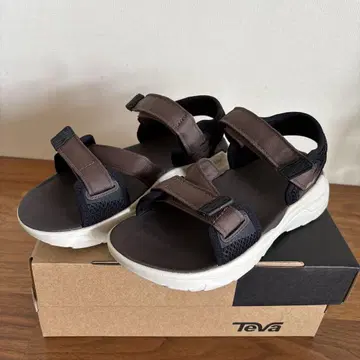 이에나 별주 Teva 22cm 브라운