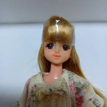 제니