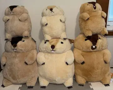 마모트의 모토토 봉제 인형 6종 세트