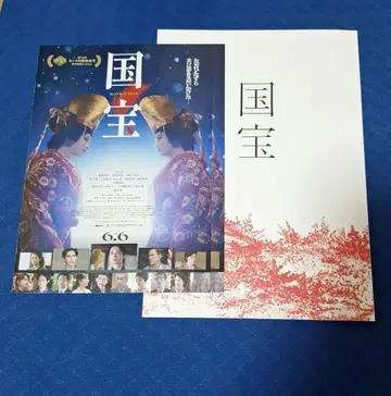 국보 팜플렛 플라이어 2장