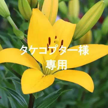 목걸이
