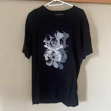 로아건스 즉각적인 명성