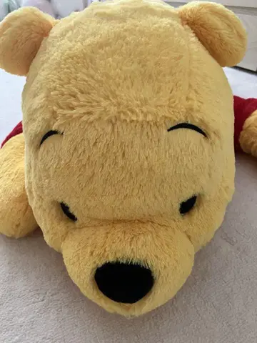 디즈니랜드 다키누이 봉제 인형 푸우