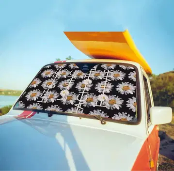 G-DRAGON 카 선쉐이드 새상품
