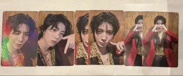 SF9 LOVE DAWN 피용 트레이딩 카드