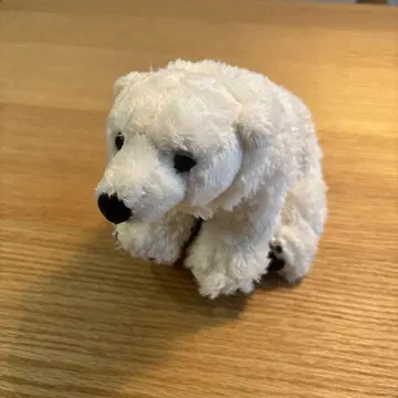 COLORATA 봉제 인형 북극곰