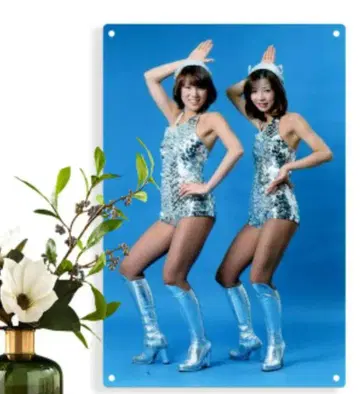 핑크 레이디 핑크 레이디 양철 간판 포스터 벽걸이 아이돌 UFO