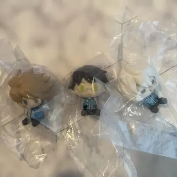 와토리 초코노코 3개 세트