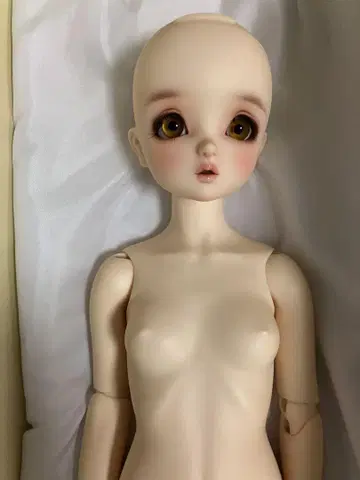 보크스 스탠다드 SD 에나
