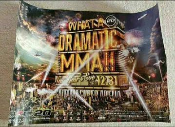 RIZIN RIZIN20 포스터