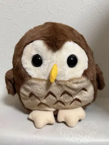 코우 올빼미 M 사이즈 브라운