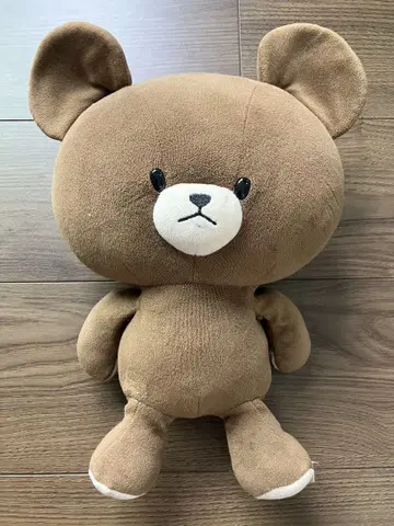 곰의 학교 재키 봉제 인형