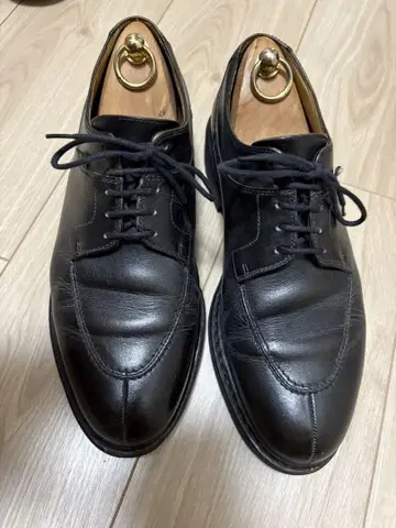 파라부트 아비뇽 8.5