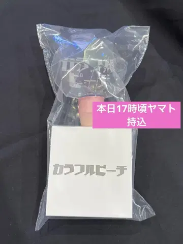 신상품 컬러풀 피치 카라피치 응원봉 파라다이스 2025