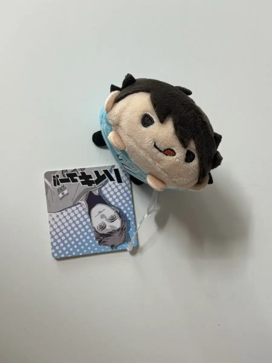 Haikyu Oikawa Tsumu Tsumu
