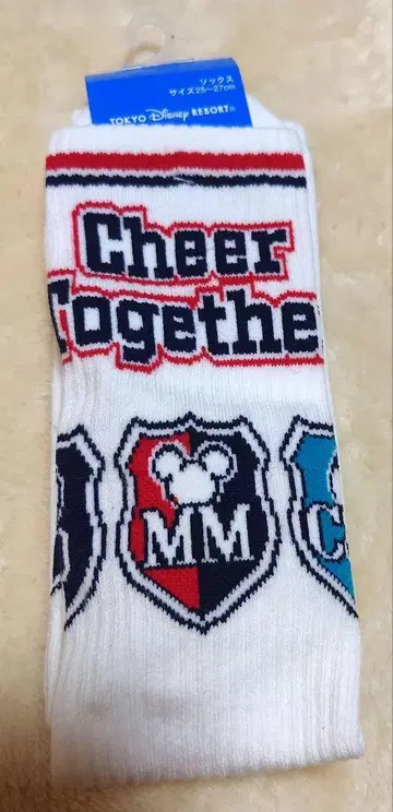도쿄 디즈니 리조트 Cheer Together 삭스 양말