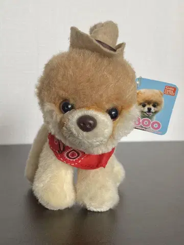 새상품급 GUND 건드 Itty Bitty BOO 포메라니안 봉제 인형