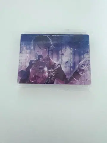 프로세카 노블 아트 vol.18 순수 브라 카미시로 루이