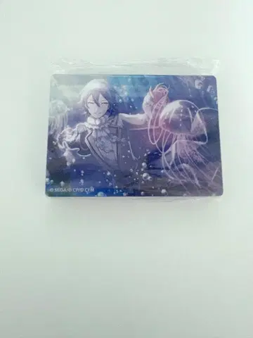 프로세카 카미시로 루이 노블 아트 vol.22