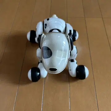 정크 Hello ZOOMER