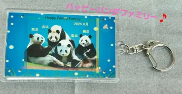 원내 한정 어드벤처 월드 해피 팬더 패밀리 아크릴 키링
