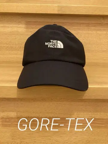 THE NORTH FACE 고어텍스 캡 블랙 유니섹스/L
