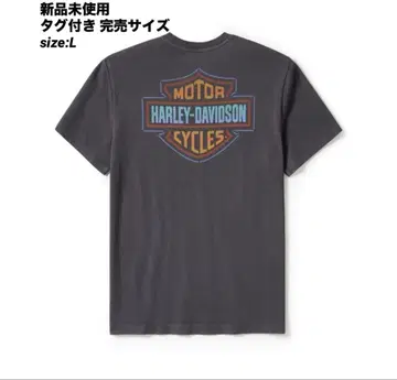 HARLEY-DAVIDSON 소어링 라이드 그래픽 티셔츠 구제 의류