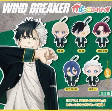 WIND BREAKER 카푸코후렌즈 전 5종 세트