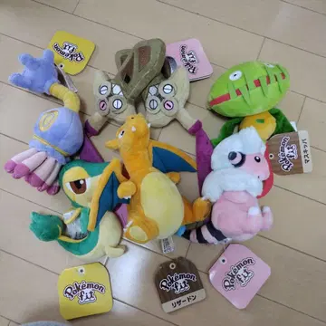 포켓몬 센터 포켓몬 핏 fit 택 포함 봉제 인형 모코코 쯔타
