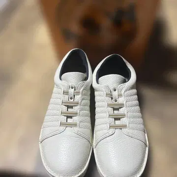 카리노 미구엘