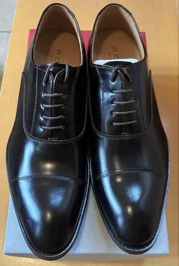 REGAL 다크 브라운 811R 박스 포함
