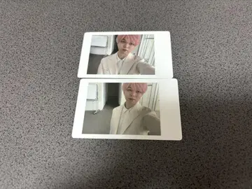 팬더 드래곤 아즈 하피카