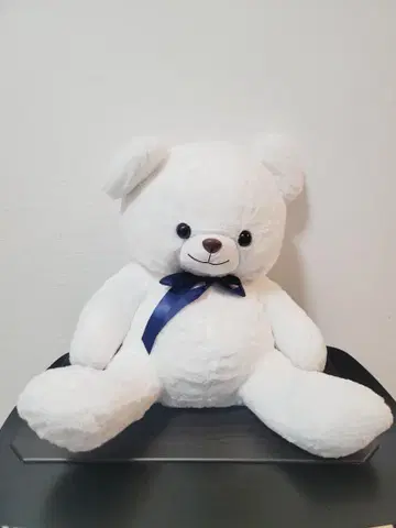 곰 앉은 BIG 봉제 인형