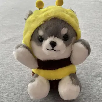콩 세 형제 타이 가루구루미 꿀벌 허니