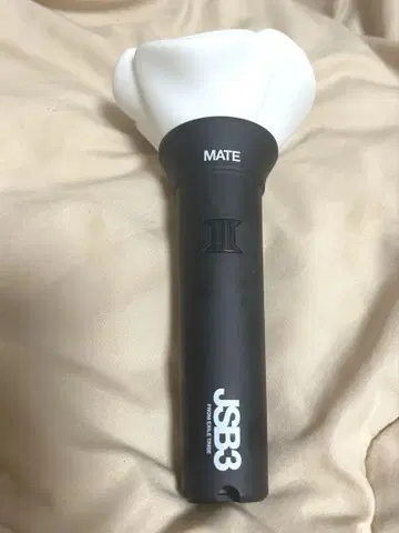 3대째 JSB 응원봉 장미