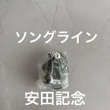 아이돌 호스 미니 컬렉션